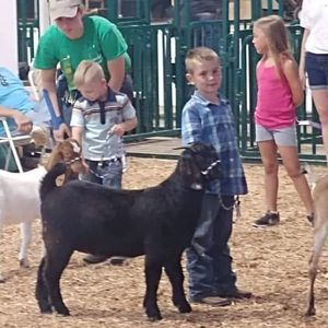 Meet your Posher, Ashley